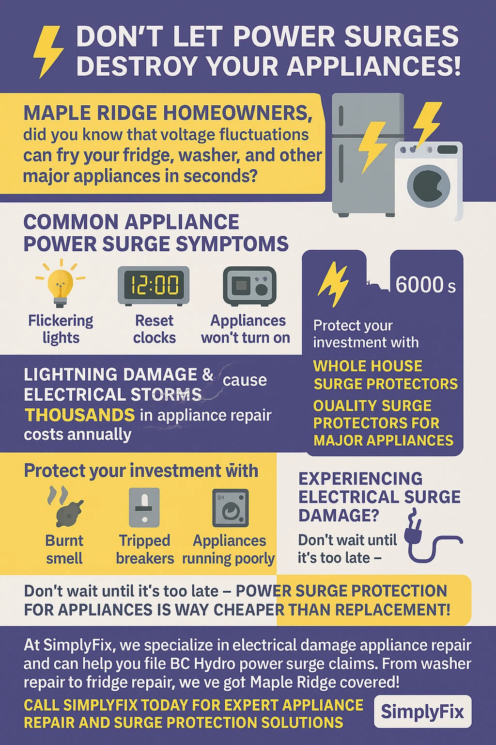 Infographic summarizing power surge appliance damage in Maple Ridge