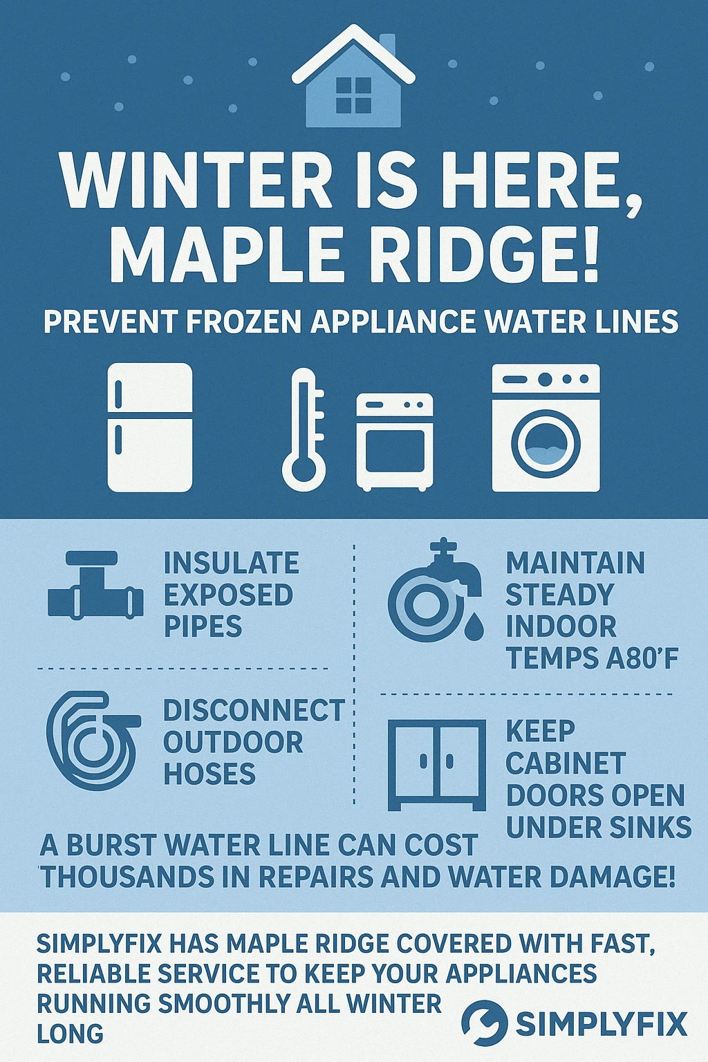 Key Takeaways Infographic for Frozen Appliance Water Lines in Maple Ridge